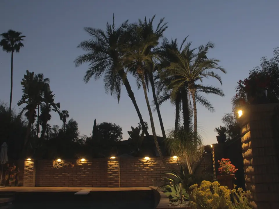 Backyard pool and palm trees illuminated by warm landscape wall lighting at dusk