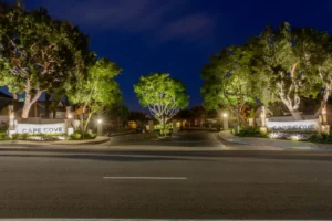 Cape Cove Gate Entrance Lighting design and installation done by Vision Outdoor Lighting