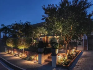 Front yard landscape lighting highlighting trees and garden beds, showcasing the cost of landscape lighting installation
