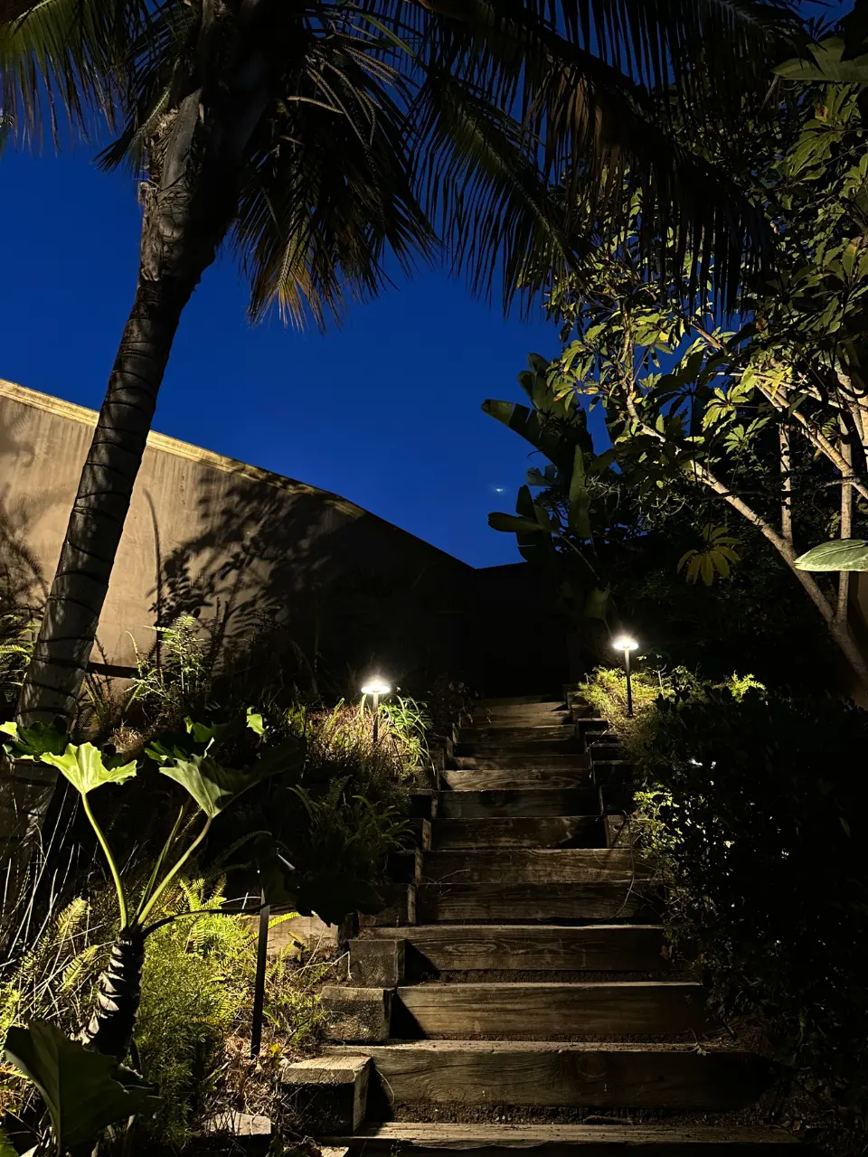 Landscape pathway lighting illuminating wooden garden stairs at night