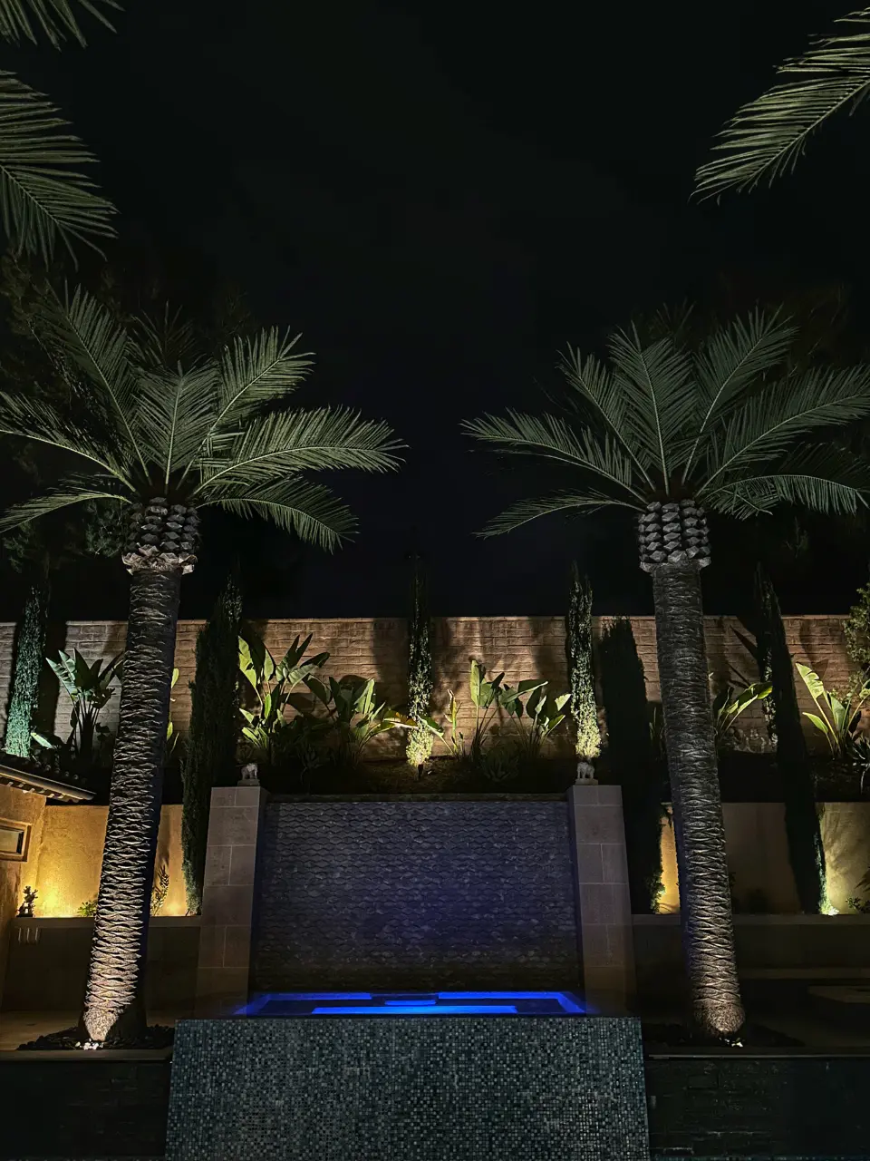 Palm tree uplighting and backyard landscape lighting design