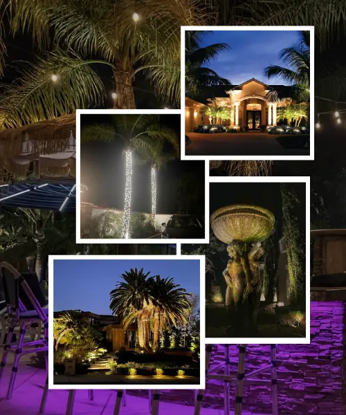 Outdoor Landscape Lighting Company in Orange County - Vision Outdoor Lighting