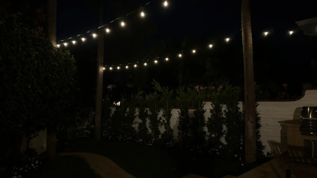 Backyard string lights strung between palm trees over garden at night
