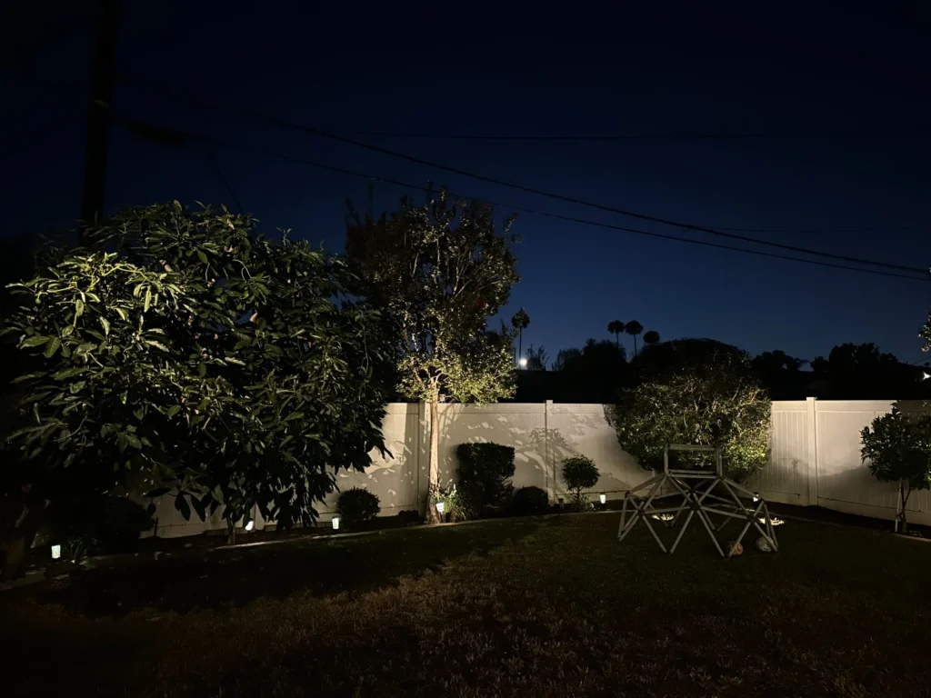 Backyard tree uplighting with shadow effect on white fence at night