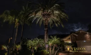 Best way to light a tree demonstrated by Vision Outdoor Lighting with professional uplighting fixtures at base of tree