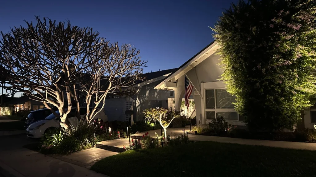 Front yard home exterior lighting with bare tree uplighting and wall washing at dusk