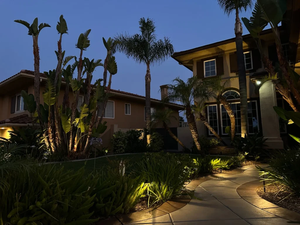 Front yard pathway lighting with banana plant and palm tree uplighting at dusk