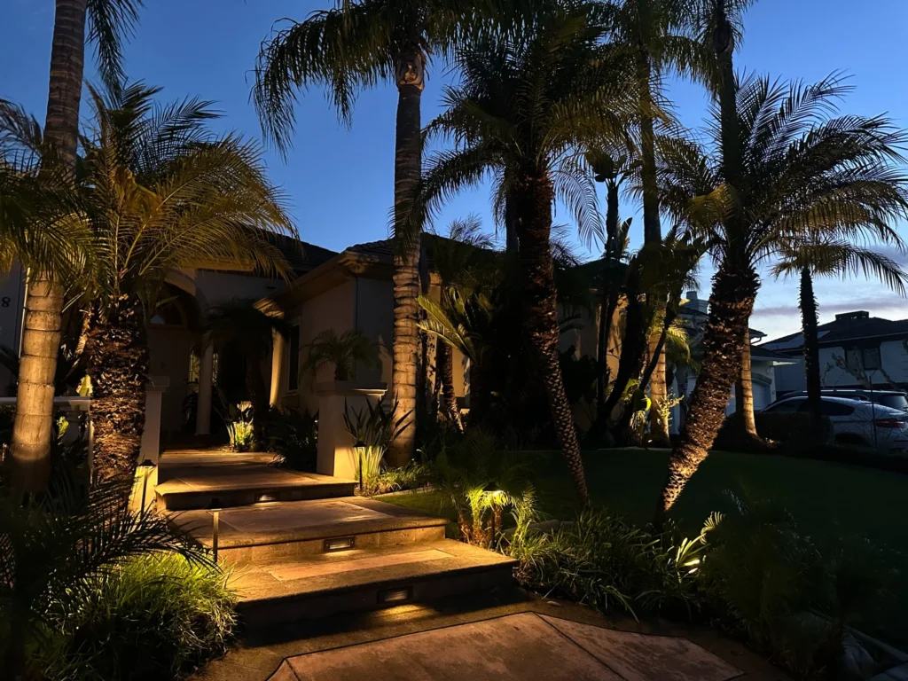 Luxury home entrance with step and palm tree lighting