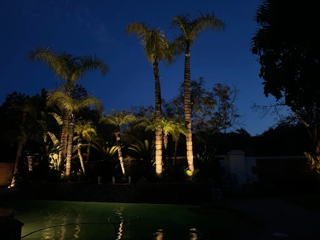 Pool perimeter with queen palm tree uplighting