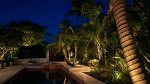 Tree Lighting Design and Installation in 25352 Mustang Dr., Laguna Hills