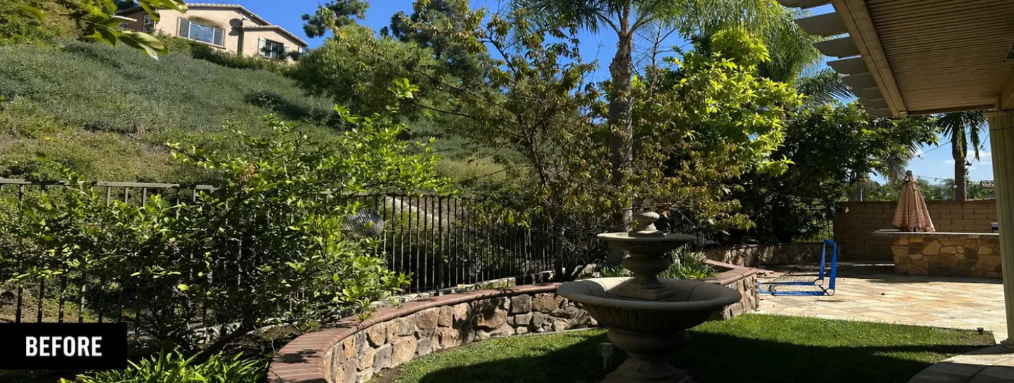 Before landscape lighting