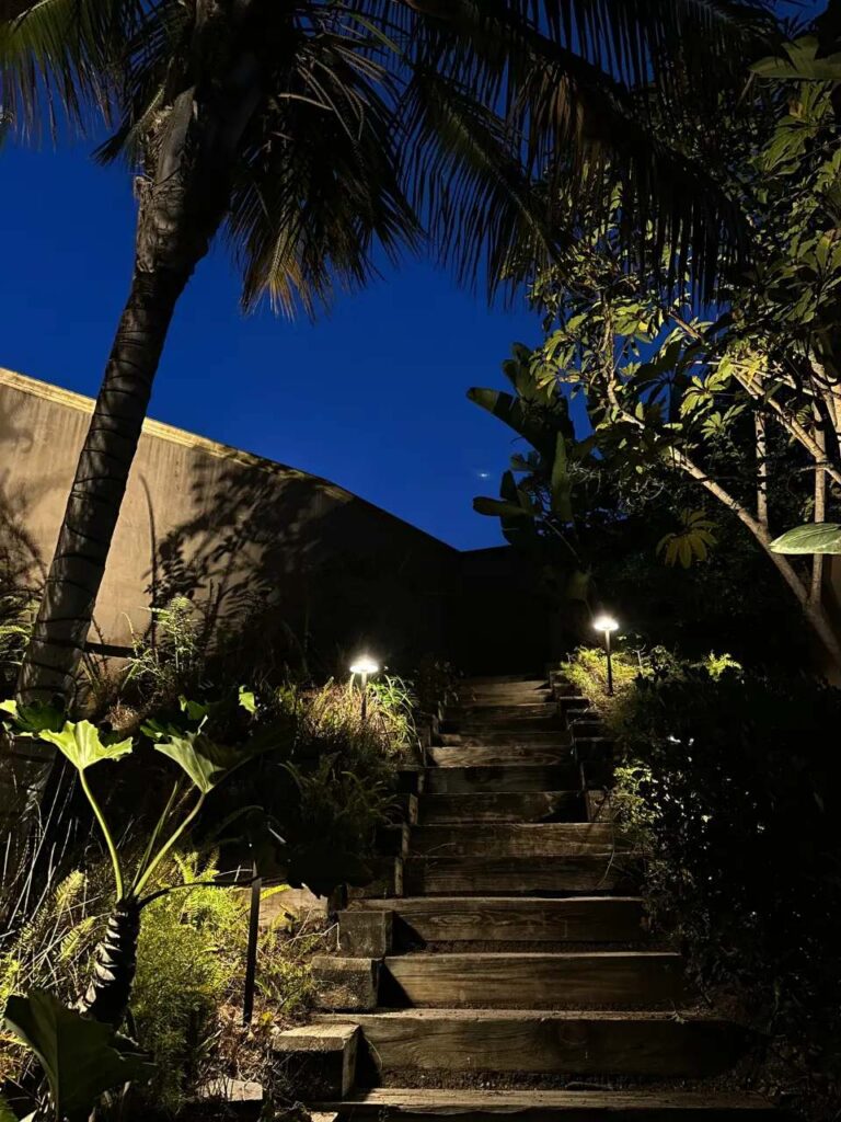 Wooden garden stairs in Corona del Mar, CA illuminated by path lights on either side, framed by a leaning palm tree and tropical foliage against the evening sky.