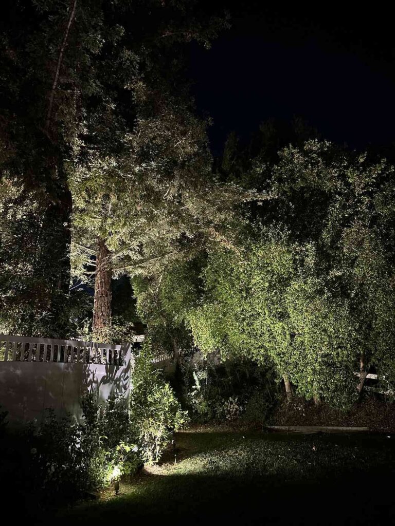 Backyard with mature trees uplit at night alongside soft wall-washing light on a white vinyl fence and garden bed.