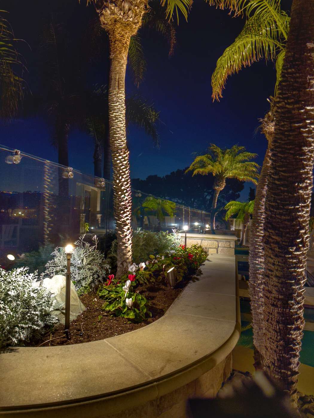 Poolside walkway in Dana Point, CA lined with uplit palm trunks and a flowering garden bed beside a glass pool railing, with string lights and ocean-view homes visible in the distance at night.