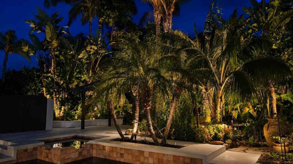 Landscape lighting installation in a tropical backyard in Laguna Woods, CA, featuring uplighting on multi-trunk pygmy date palms, banana plants, and a dense garden bed beside a tiled spa surround. Vision Outdoor Lighting designed this layered lighting to bring depth and warmth to the outdoor living space at night. Vision Outdoor Lighting provides tropical garden and tree uplighting throughout Laguna Woods and Orange County, California.