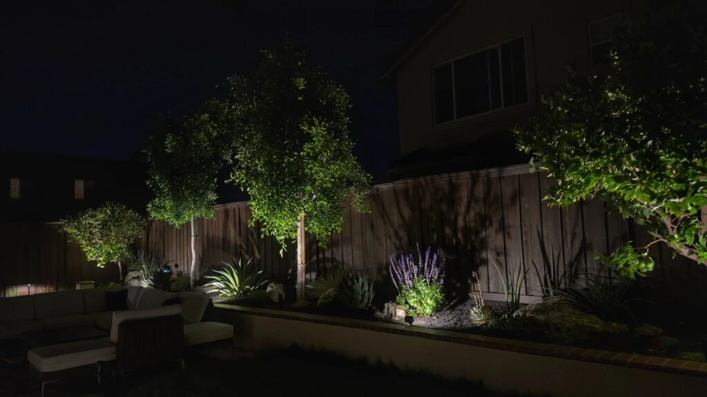 Backyard in Tustin, CA with a row of ornamental trees uplit along a wood fence line, framing a raised garden bed of agave, salvia, and succulents beside a built-in sofa lounge area at night.