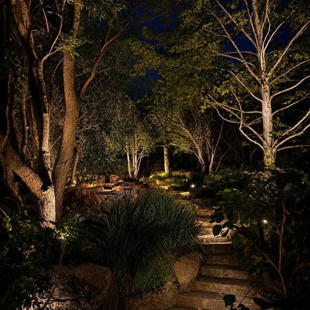 Stone garden pathway in Tustin, CA winding between uplit birch and shade trees, with rock steps and low path lights guiding the way toward a stacked-stone garden feature at night.