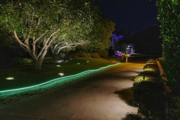 Decorative driveway lighting with green border and garden light, showcasing the best way to light up a driveway for both style and safety