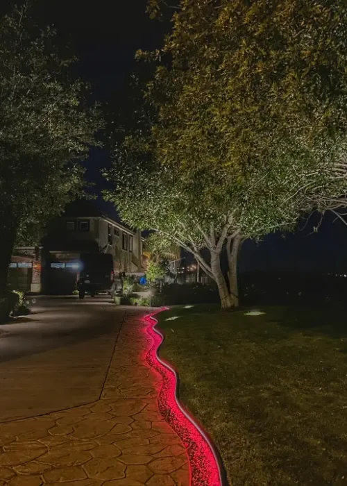 Driveway landscape lighting with red LED border and tree uplighting