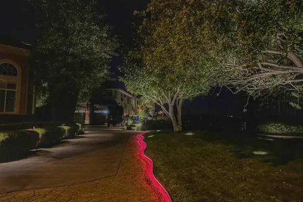 Driveway landscape lighting with red LED border and tree uplighting