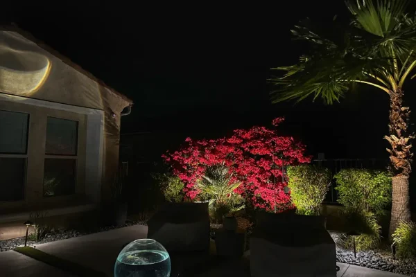 Garden accent lighting highlighting plants and palm tree at night
