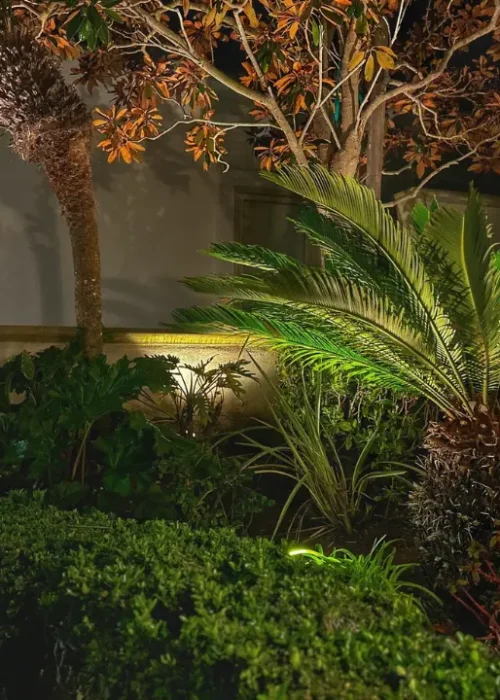 Garden landscape lighting for garden plants