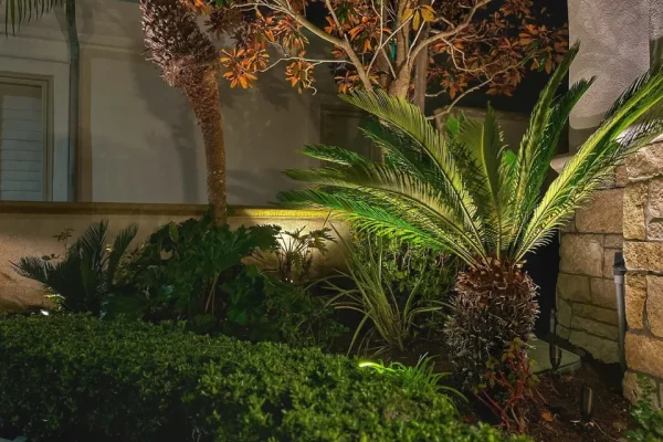 Garden landscape lighting for garden plants