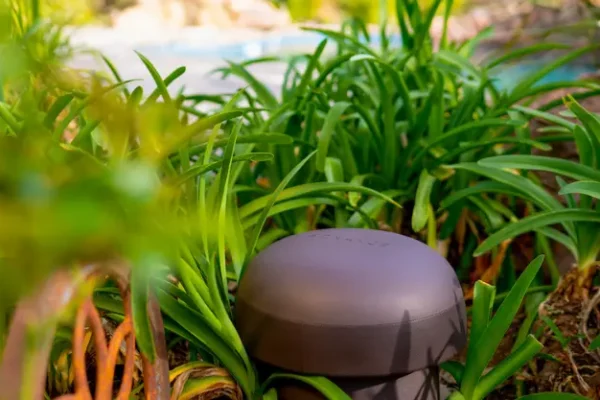 In-Ground Well Light