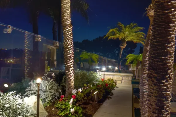 Landscape Lighting installation in path illuminating garden walkway and palm trees