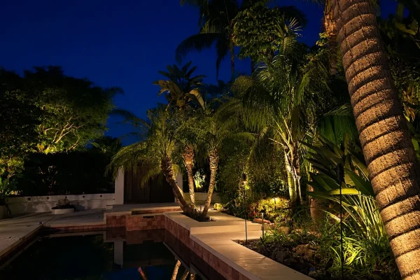 Tree Lighting Design and Installation in 25352 Mustang Dr., Laguna Hills