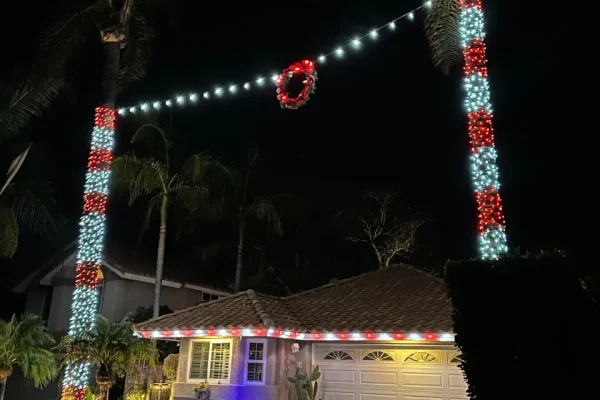 Permanent holiday lighting on palm trees and home exterior