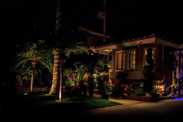 Residential front yard with illuminated palm trees and landscape lighting at night