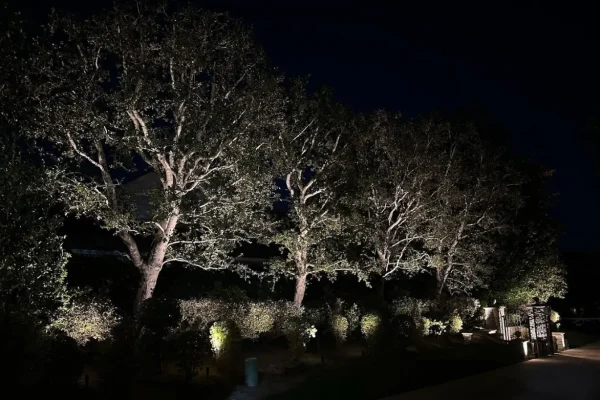 Tree uplighting project by Vision Outdoor Lighting