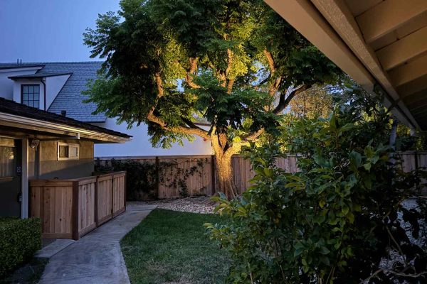 Backyard corner with a mature shade tree beside a wood fence and gravel garden bed at dusk.