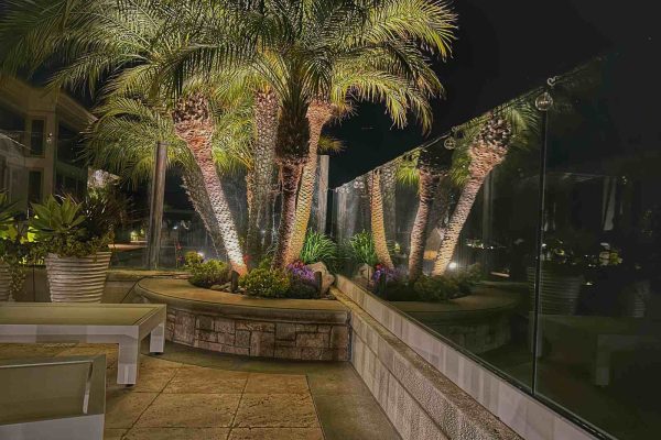 Multiple palm tree trunks illuminated with warm-toned uplighting on a stone patio, glass railing revealing water views beyond, string lights strung overhead.