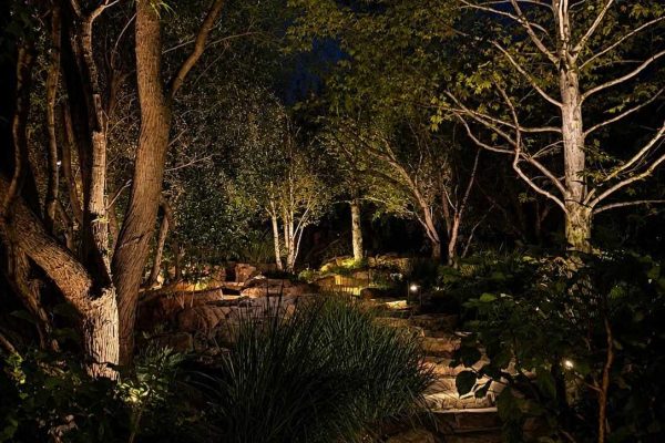Stone garden pathway in Tustin, CA winding between uplit birch and shade trees, with rock steps and low path lights guiding the way toward a stacked-stone garden feature at night.